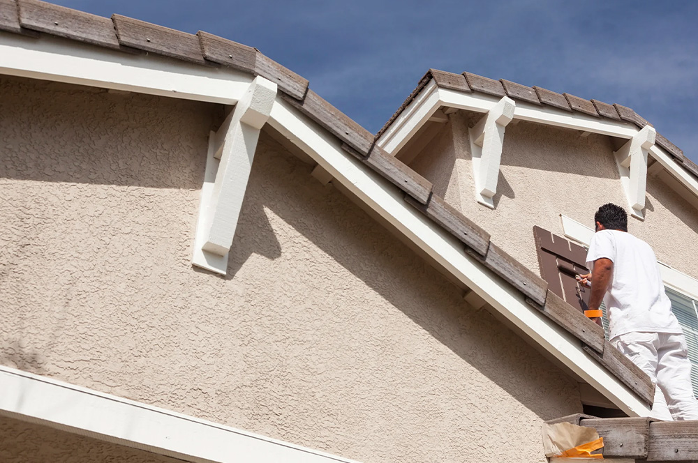 Professional Painting House DM Roofing HP